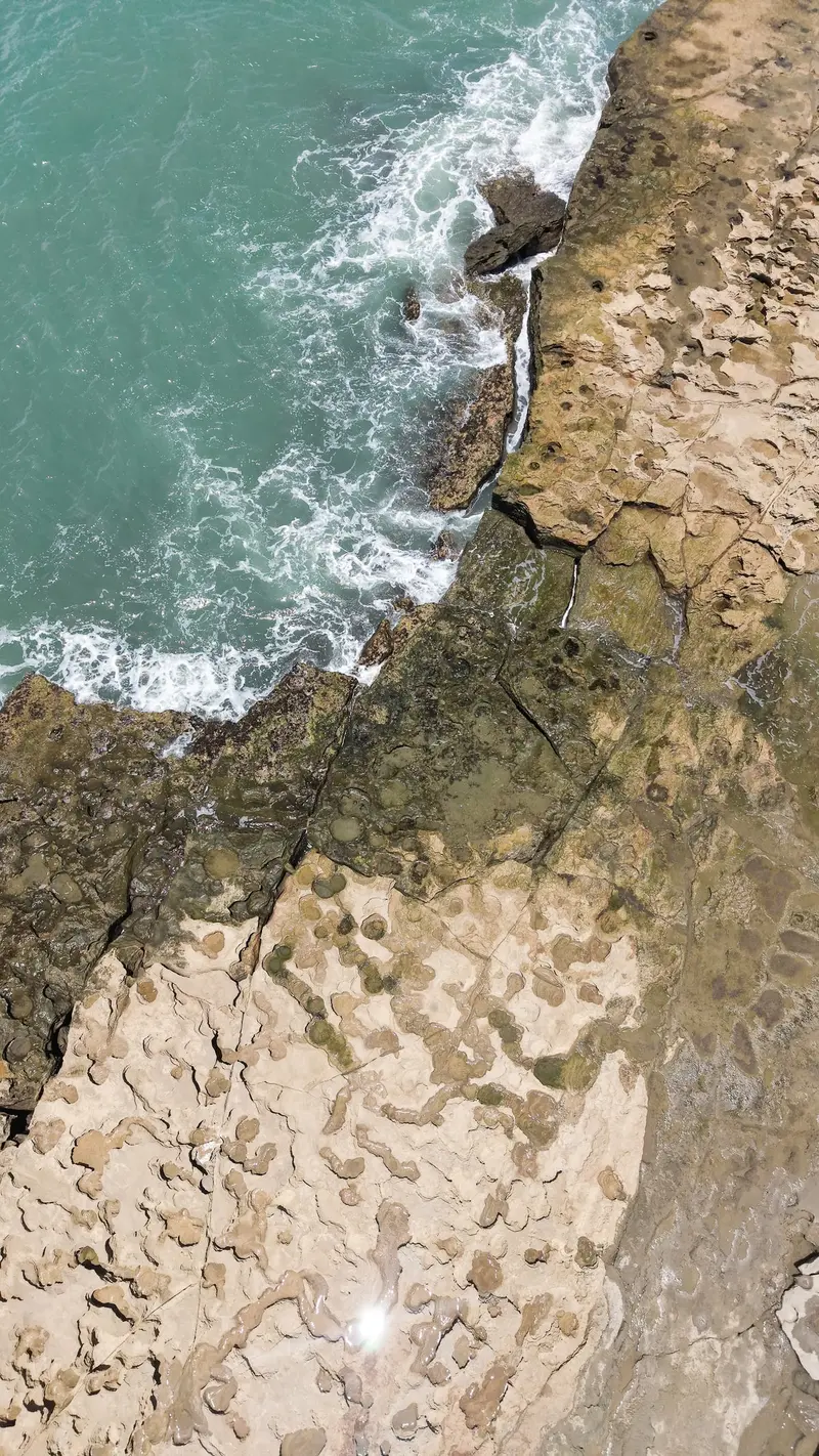 Vista aérea das rochas e da água verde na linha da maré